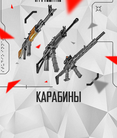КАРАБИНЫ